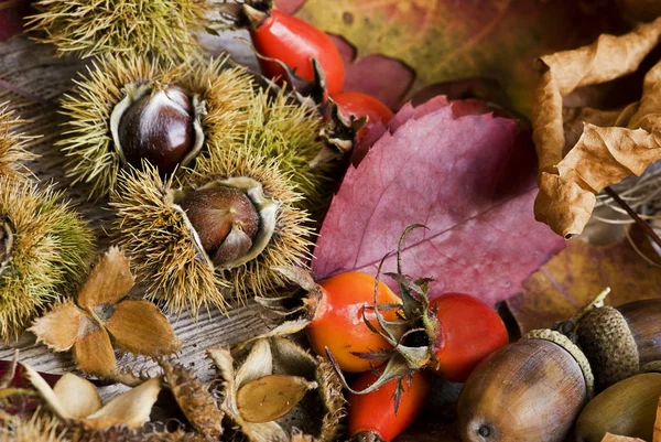 Primo Piano Della Natura Morta — Foto Stock