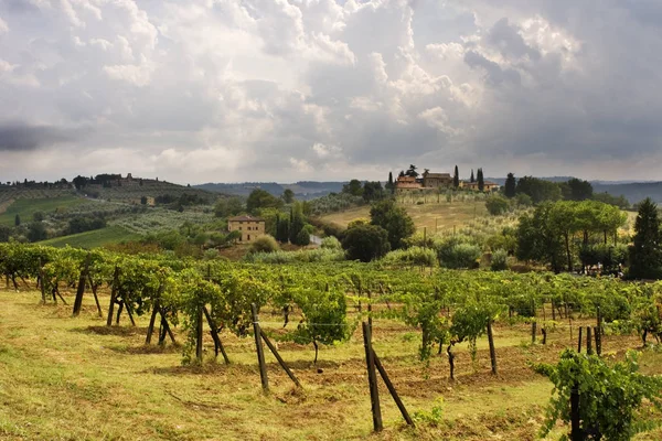 Vista Sulla Costa Toscana — Foto Stock