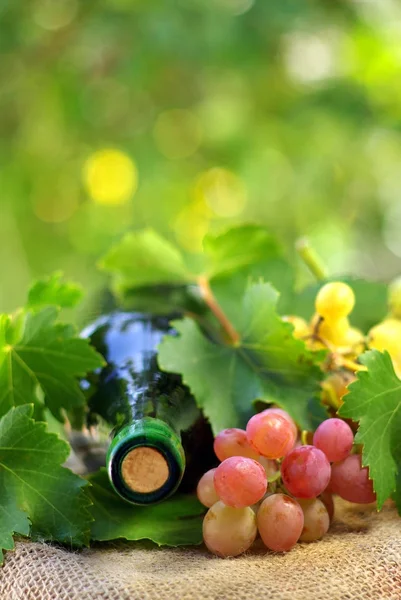 Bottle Wine Grappes — Stock Photo, Image