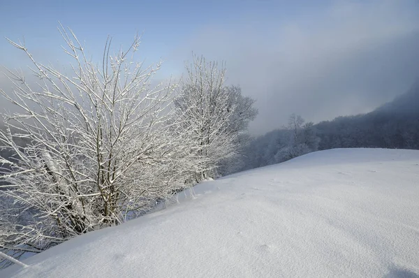 Hermosa Vista Del Paisaje Invierno — Foto de Stock