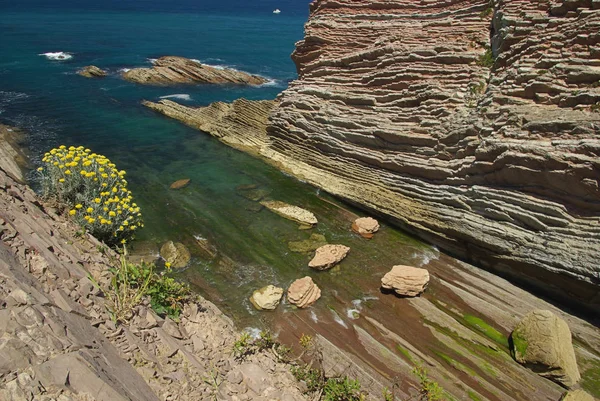 Costa Vasca Zumaia Costa Vasca Nära Zumaia — Stockfoto