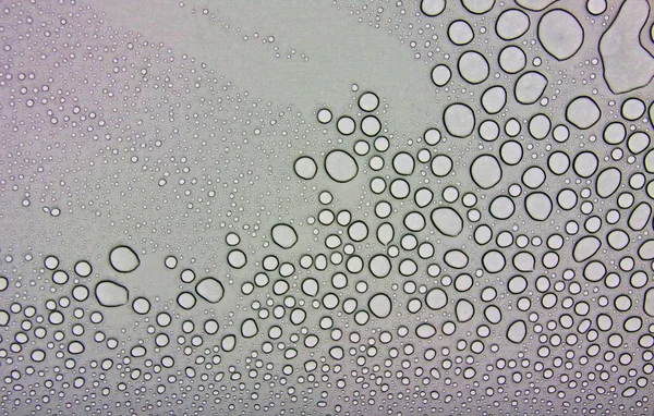 Rain Drops Water Pattern Soft Light — Stock Photo, Image