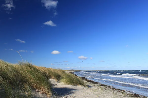 Questa Immagine Mostra Una Spiaggia Fehmarn — Foto Stock