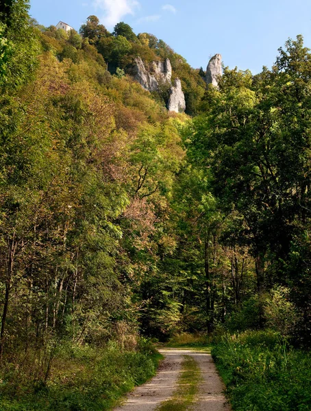 Castillo Wildenstein Sobre Valle Danube Cerca Beuron —  Fotos de Stock