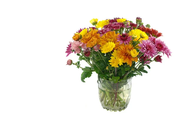 Blumen Strauß Arrangement Flora — Stockfoto