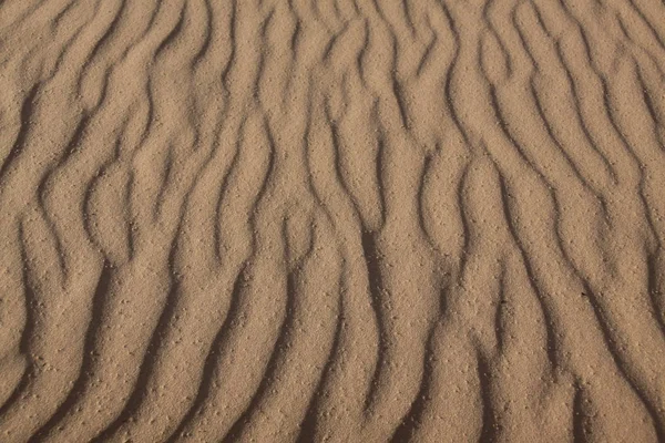 Sandy Beach Close — Stok fotoğraf