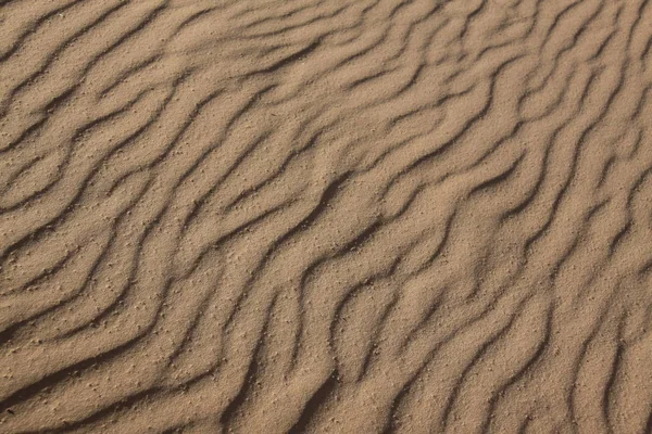 Plage Sable Proximité — Photo