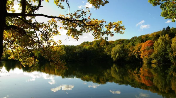 Herbstliche Atmosphäre Selektiver Fokus — Stockfoto