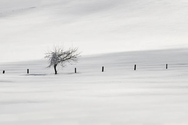 Bella Vista Del Paesaggio Invernale — Foto Stock