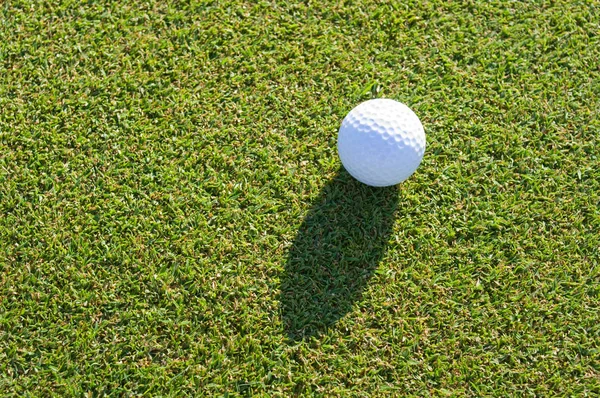 Bola Golfe Campo — Fotografia de Stock