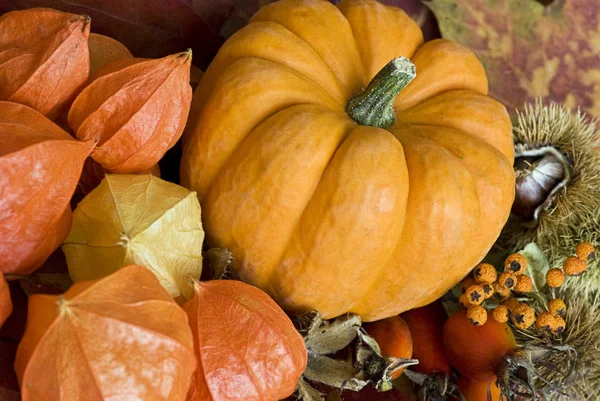 Close Still Life — Stock Photo, Image