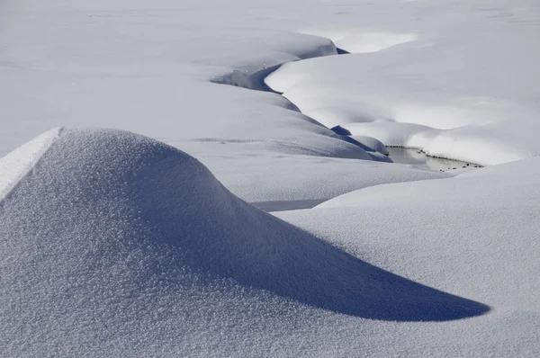 Näbb Snön — Stockfoto