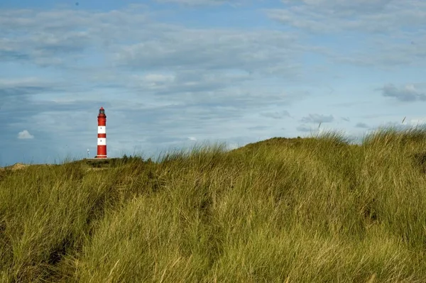 Çimen Denizindeki Deniz Feneri — Stok fotoğraf