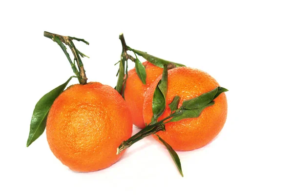 Närbild Citrusfrukter — Stockfoto