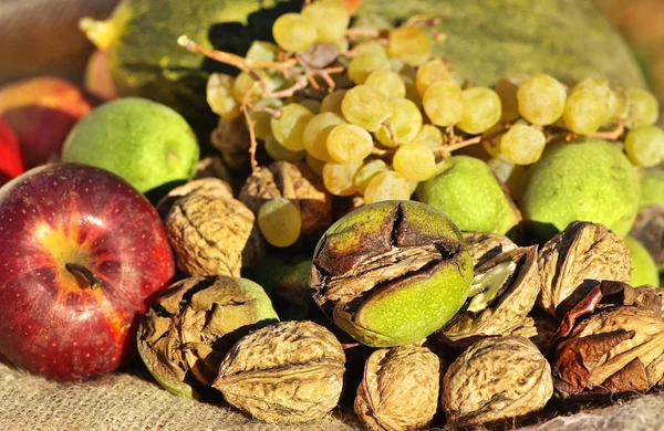 Nozes Outras Frutas — Fotografia de Stock