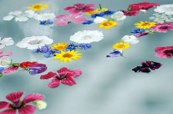 Blumen Und Schmetterlinge Auf Weißem Hintergrund — Stockfoto