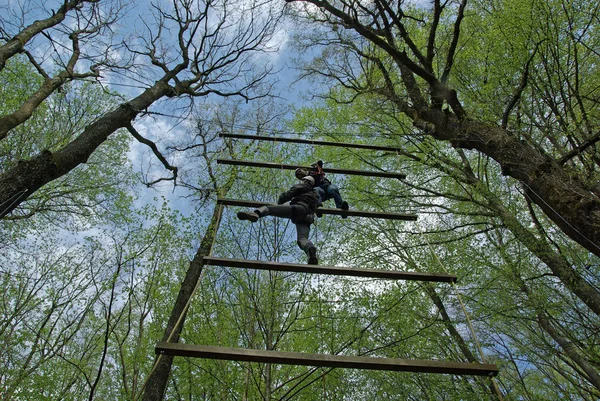 Razem Wspiąć Się Drabinie Nieba Persoenlichkeitstraining Szkolenia Zespołowe Martin House — Zdjęcie stockowe