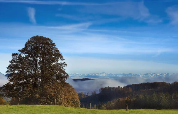 Munitie Bij Fhn Met Alpenblick Het Voorjaar — Stockfoto