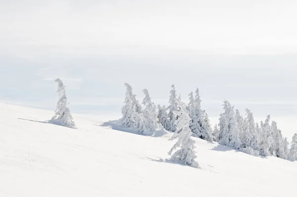 Prachtig Uitzicht Het Winterlandschap — Stockfoto