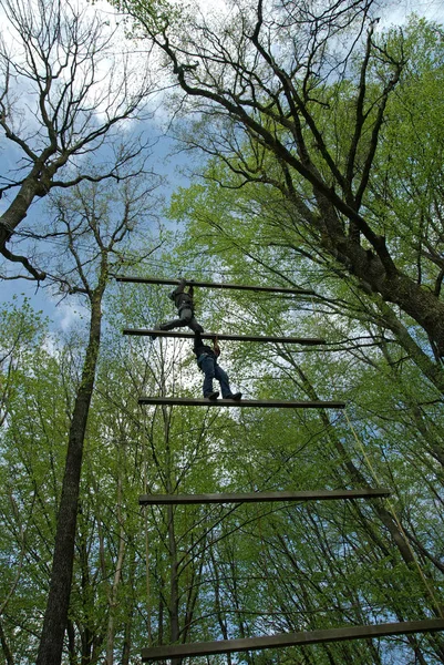 Birlikte Gökyüzü Merdiveni Tırmanmak Kişilik Eğitimi Takım Eğitimi Martinshaus Kleintobel — Stok fotoğraf
