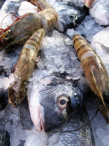 Frutti Mare Mercato Del Pesce — Foto Stock