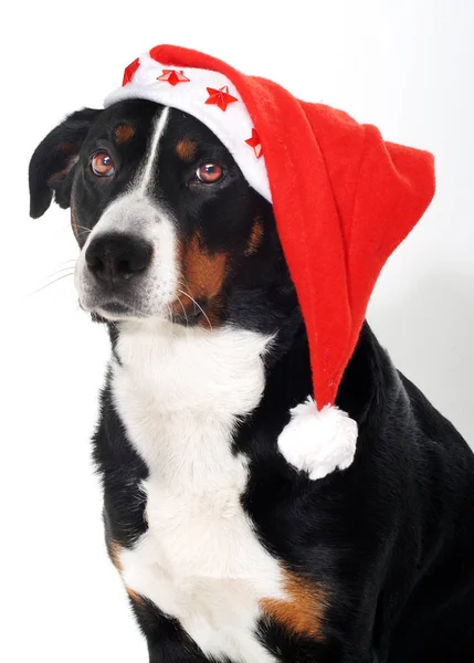 Tempo Felicità Santa Claus — Foto Stock