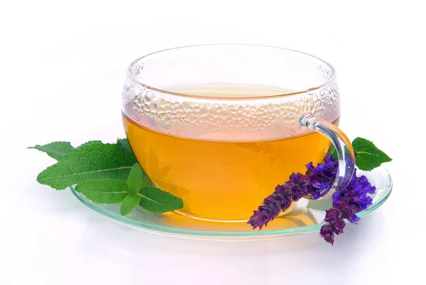 Zsálya Tea Tea Szerint — Stock Fotó