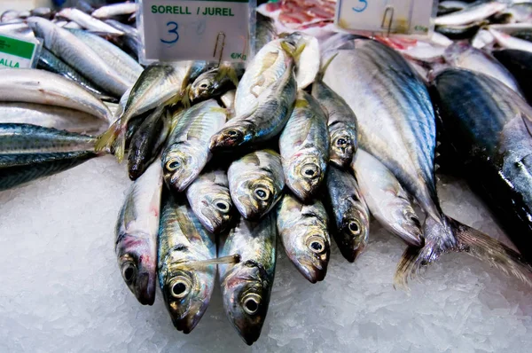 Mariscos Mercado Pescado —  Fotos de Stock