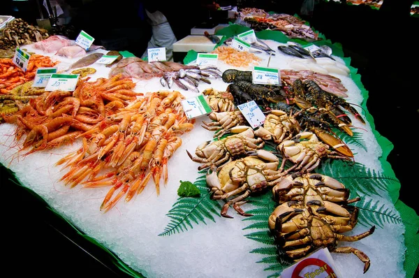 Frutos Mar Camarões Cozinha Gourmet — Fotografia de Stock