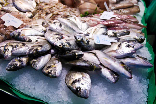 Alimento Mar Mercado Peixes — Fotografia de Stock