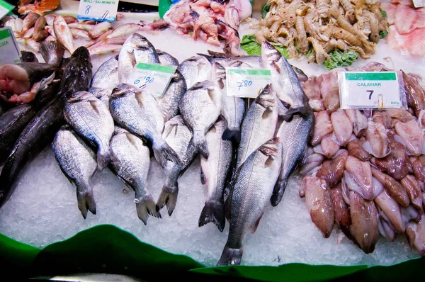 Alimento Mar Mercado Peixes — Fotografia de Stock