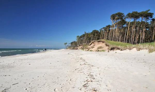 Scenic View Dunes Selective Focus Stock Picture