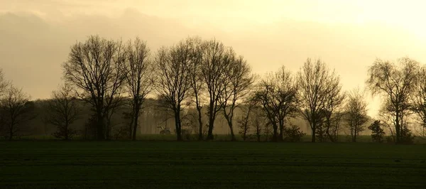 Laatste Trekker Avond — Stockfoto