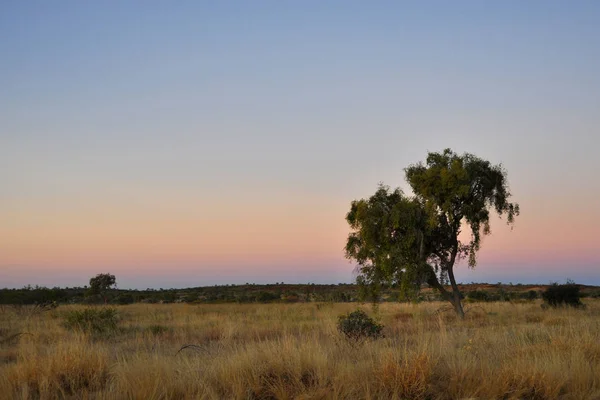 Zachód Słońca Ten Outback — Zdjęcie stockowe