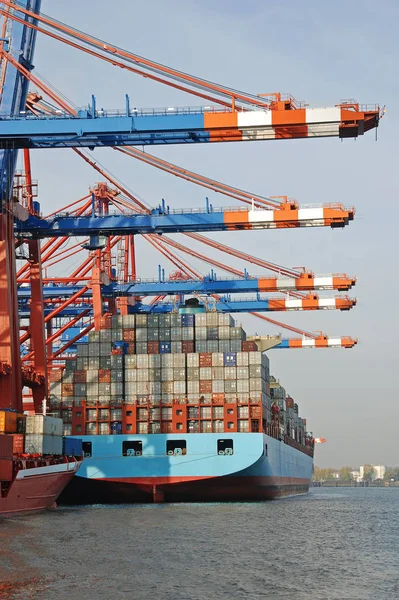 Container Terminal Port Hamburg — Stock Photo, Image