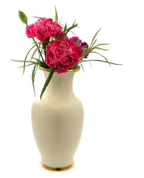 Весенние Розовые Цветы Гвоздики Вазе — стоковое фото