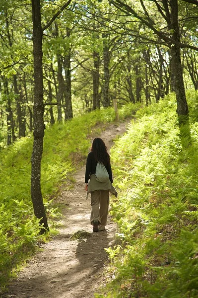 Mulher Caminhando Floresta Encantadora — Fotografia de Stock