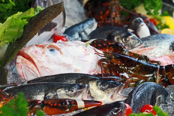 Čerstvé Ryby Mořské Plody Trhu — Stock fotografie