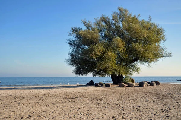 Schöne Tropische Strandlandschaft — Stockfoto