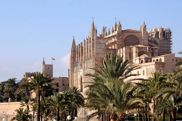 Seu Palma Mallorca — Stock Photo, Image