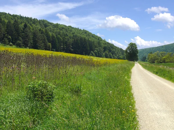 Paysage Montagne Avec Herbe Verte Ciel Bleu — Photo