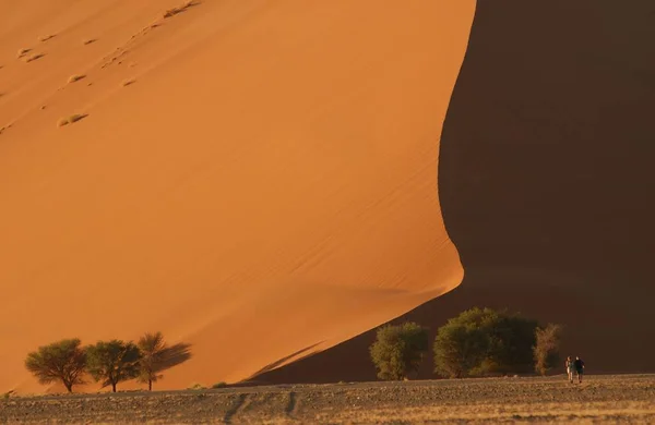 Sand Dunes Namibian Desert — Stock Photo, Image