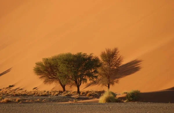 Dunas Areia Deserto Namíbia — Fotografia de Stock
