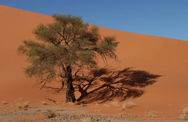 Dunas Areia Deserto Namíbia — Fotografia de Stock
