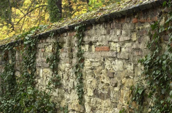 Arkitektonisk Stil Färgstark Bakgrund — Stockfoto