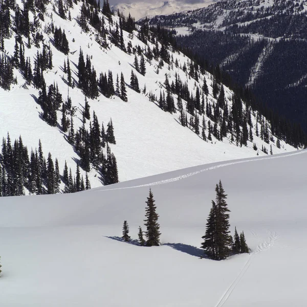 Σκι Πίστες Στο Rocky Mountains Whistler — Φωτογραφία Αρχείου