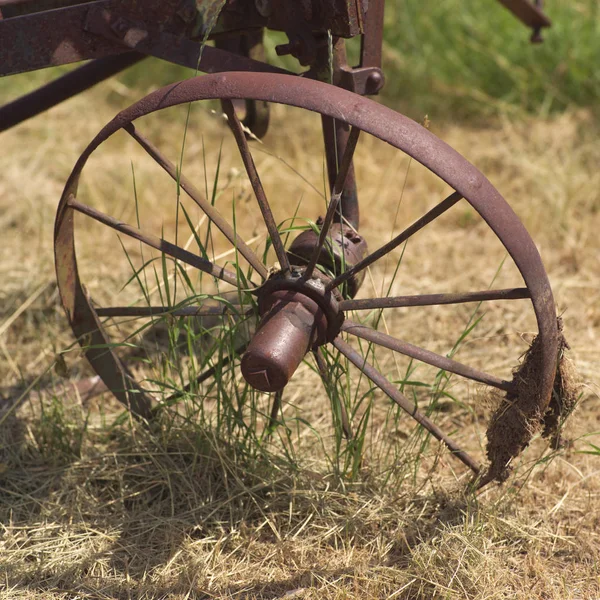 Vieille Roue Herbe Morte — Photo