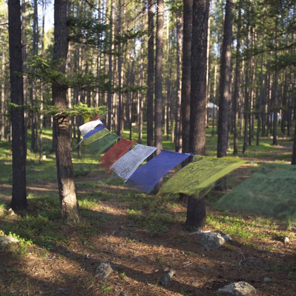 Buddhistisk Böneduk Hängande Montana Skogen — Stockfoto