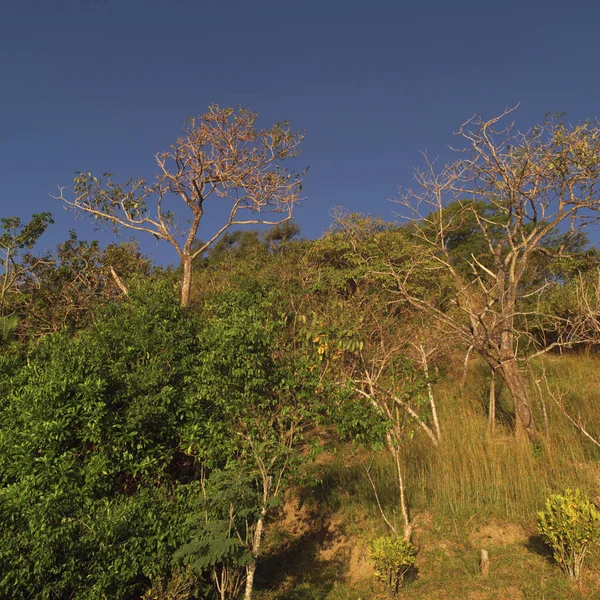 Ландшафт Коста Рики — стокове фото