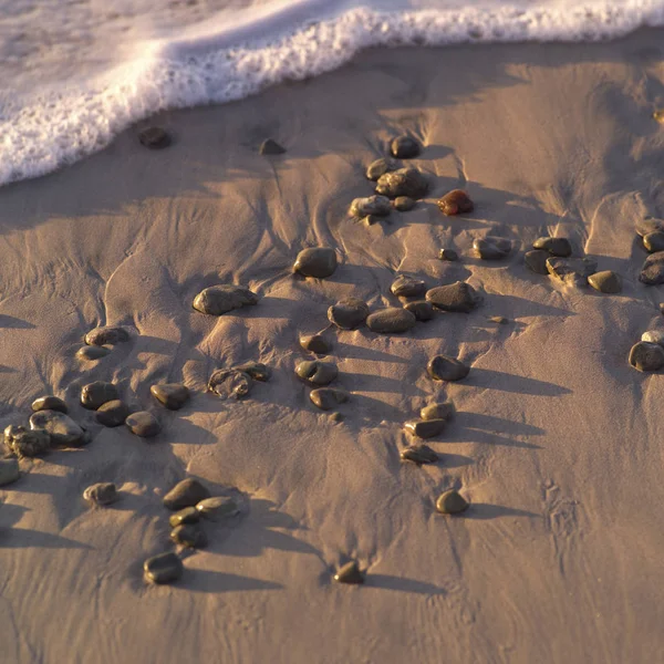 Rotsen Het Strand Costa Rica — Stockfoto